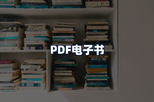 PDF电子书